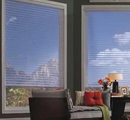 Paradise Shade – Translúcido 2" e 3"